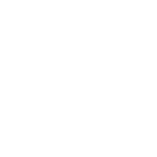 Sale Badge