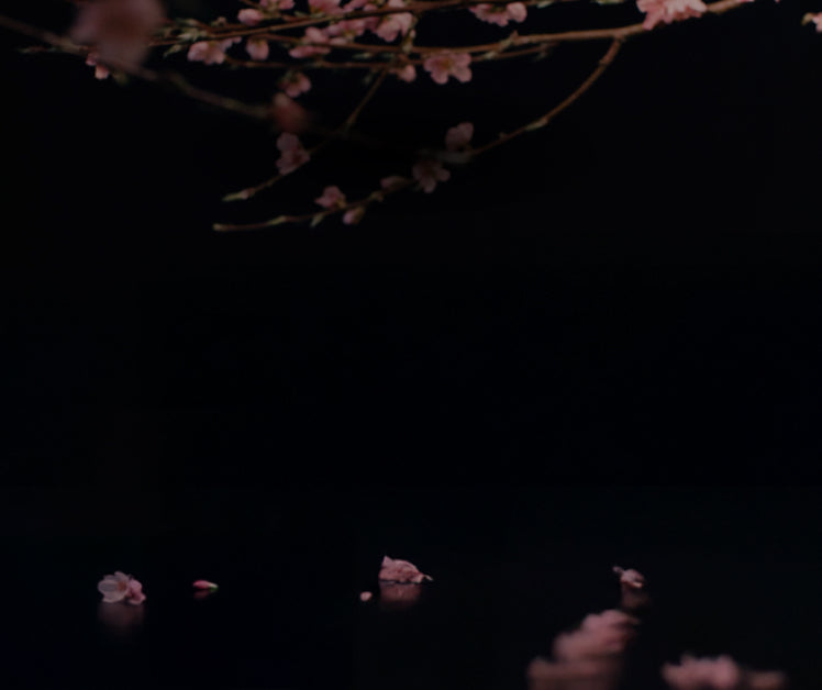 Japanese Style Cookware | HexClad Canada